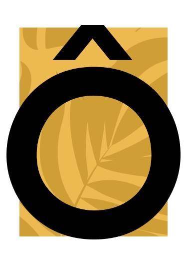 Ô Dizio - Restaurant Vénissieux - restaurant VENISSIEUX